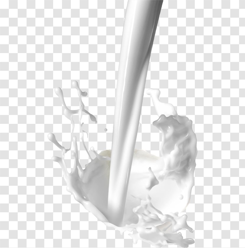 Coconut Milk Water Powdered Flavored - Product Design Transparent PNG