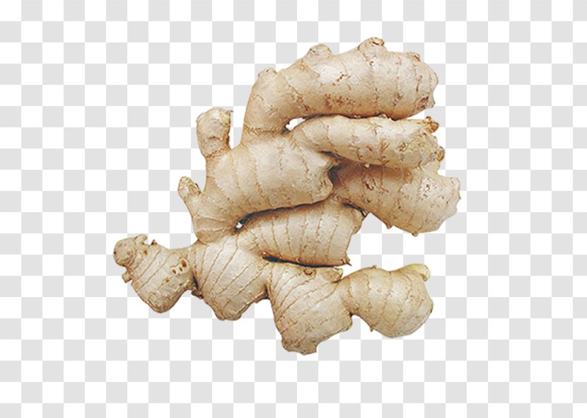 Ginger Root Vegetables - Tuber Transparent PNG