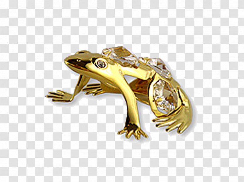 True Frog Reptile Gold Yellow - Golden Transparent PNG