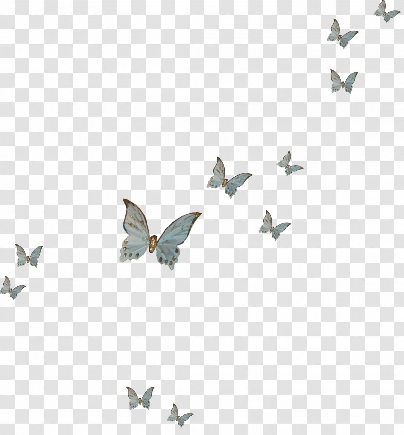 Graphics Desktop Wallpaper Illustration Pattern Font - Butterfly - China Transparent PNG