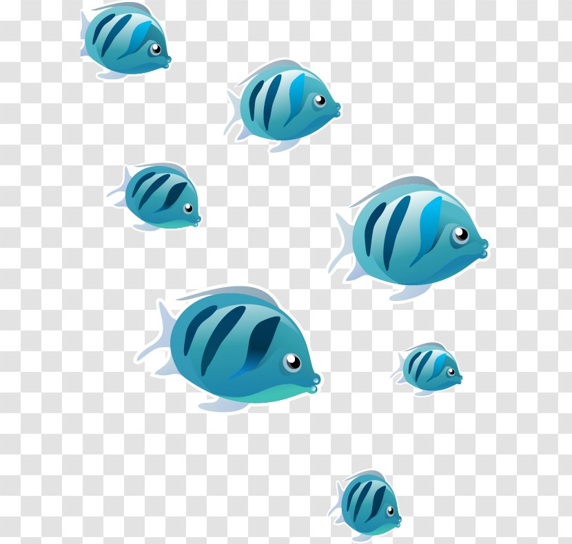 Fish Euclidean Vector - Aqua - Cartoon Transparent PNG