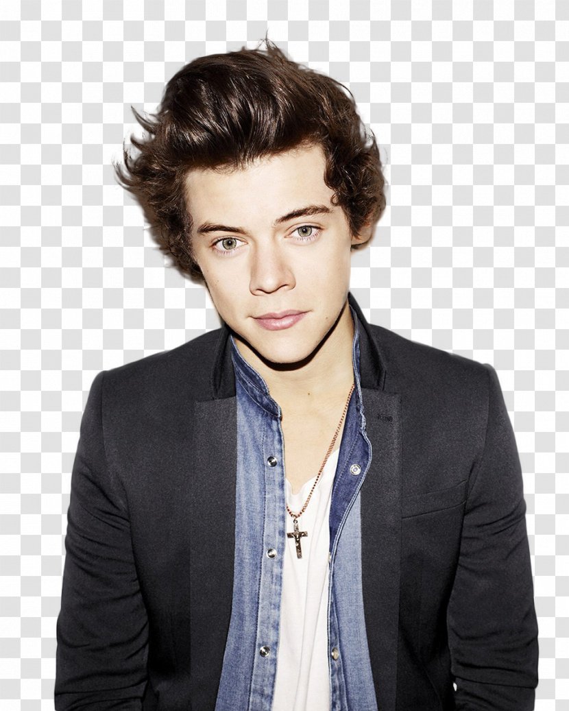Harry Styles: Live On Tour One Direction Desktop Wallpaper - Frame - Styles Transparent PNG