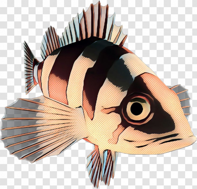 Fish - Pomacentridae - Bonyfish Transparent PNG