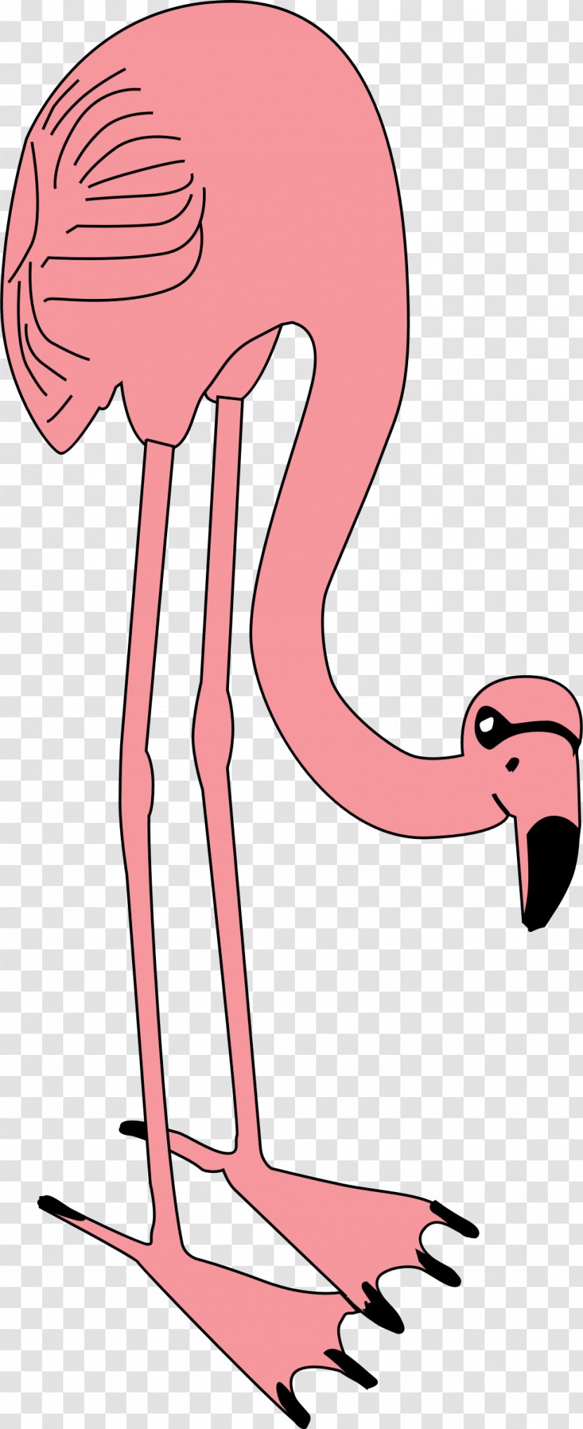 Flamingo Bird Clip Art - Watercolor - Flamingos Transparent PNG