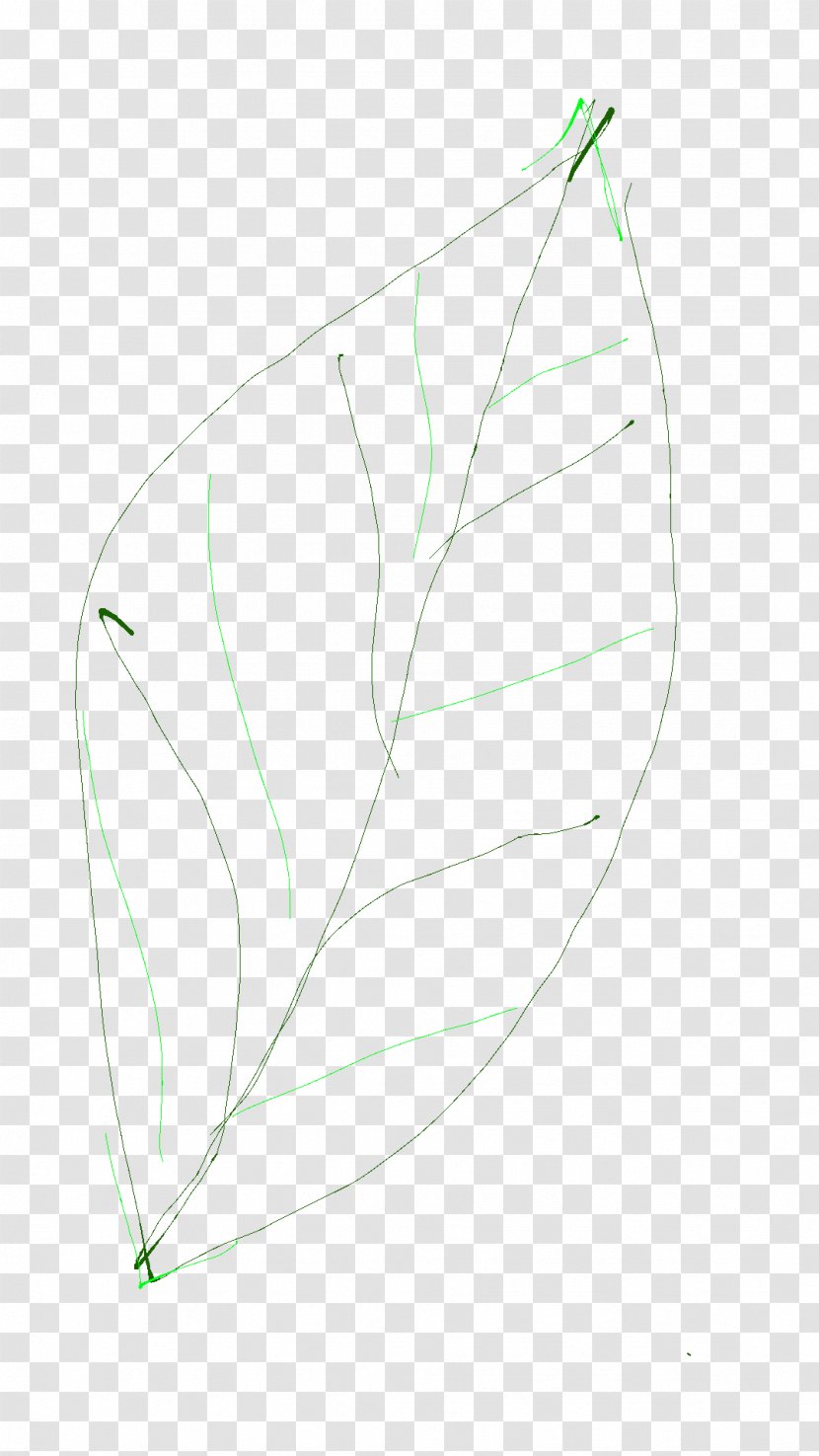 Product Design Line Leaf Angle - Wing Transparent PNG