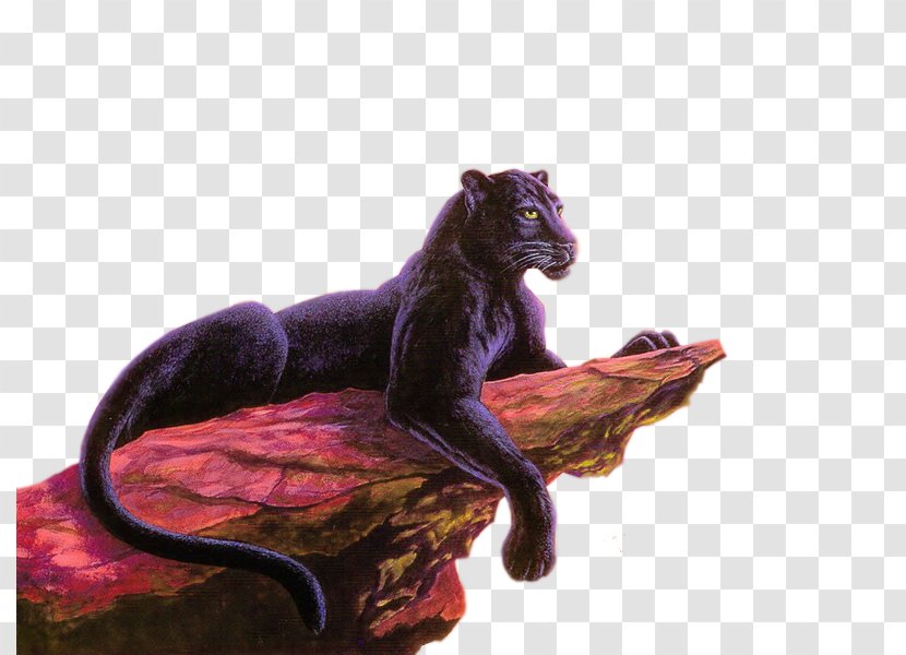 Panther Jaguar Cat Felidae Cougar Transparent PNG
