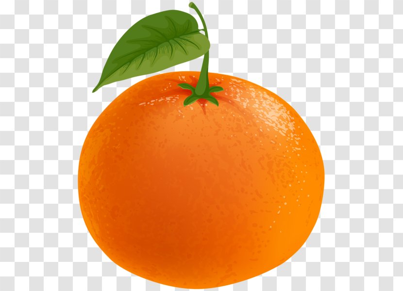 Clementine Mandarin Orange Tangerine Blood Clip Art - Vegetarian Food Transparent PNG