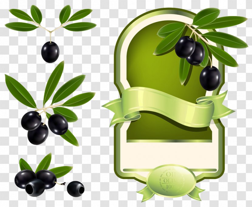 Olive Oil Label Clip Art - Black Olives Collection Transparent PNG