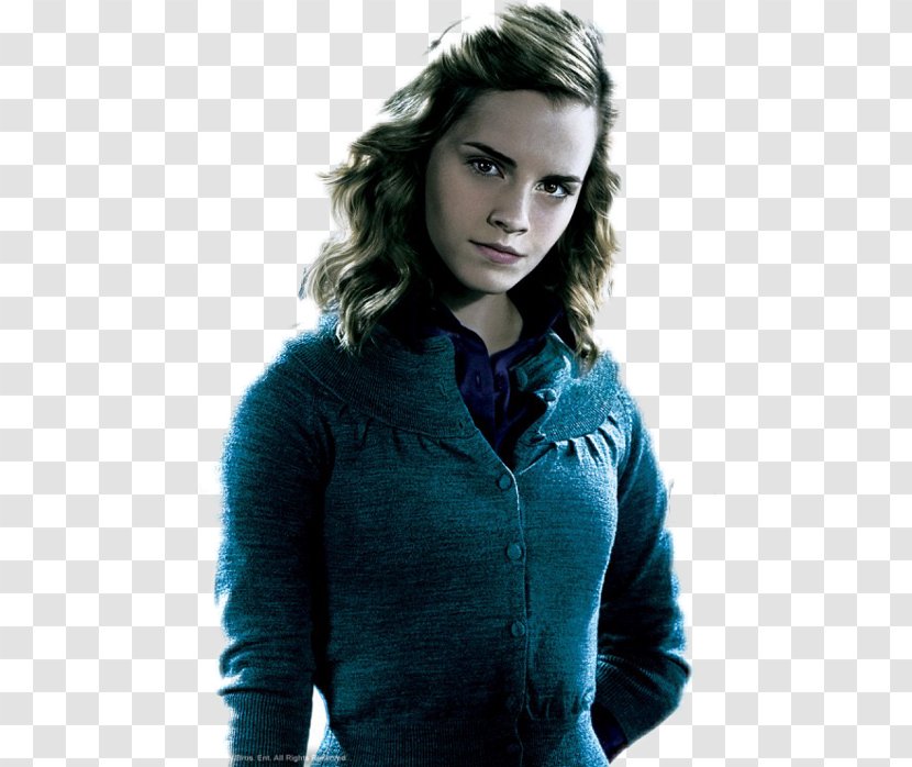 Hermione Granger Garrï Potter Ron Weasley Harry And The Philosopher's Stone Emma Watson - Silhouette Transparent PNG