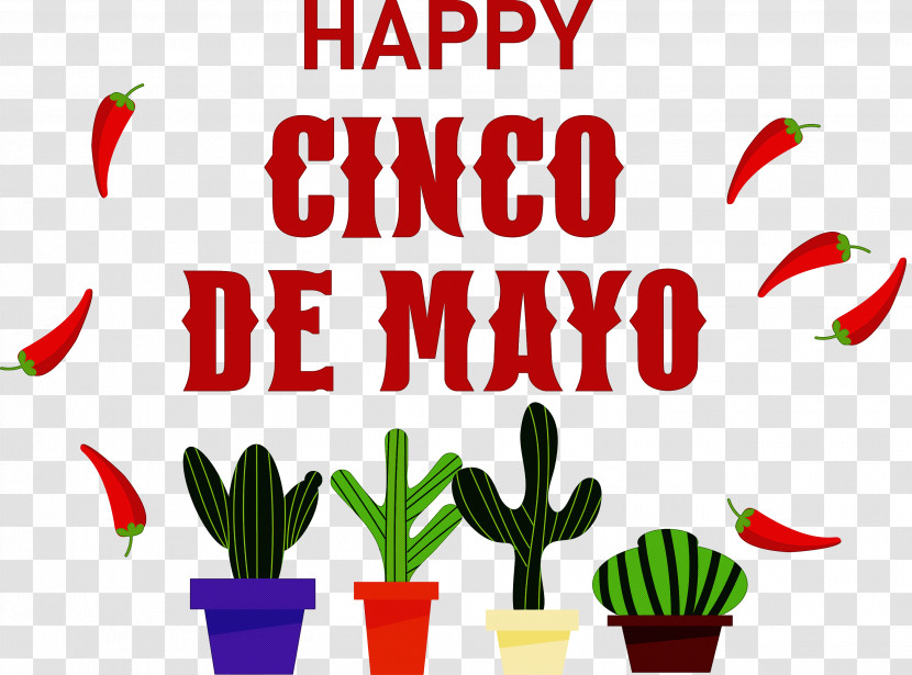 Cinco De Mayo Fifth Of May Mexico Transparent PNG