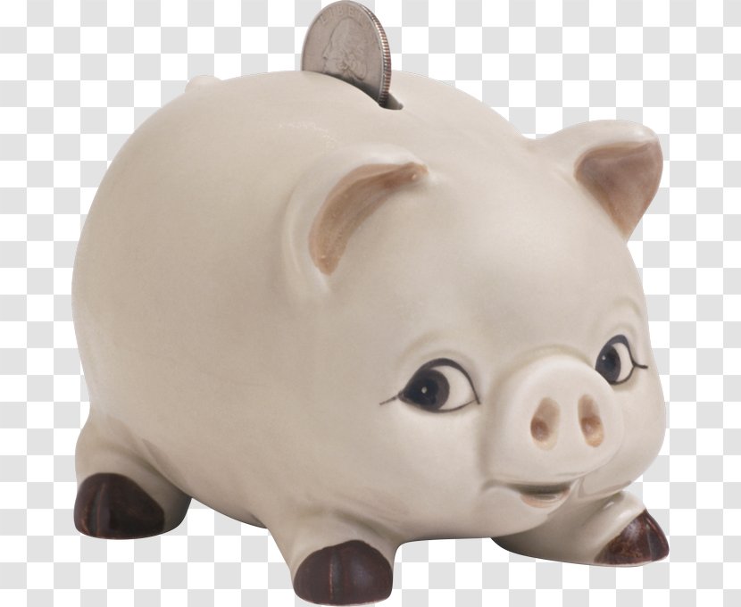 Piggy Bank Domestic Pig Computer Software Clip Art Transparent PNG
