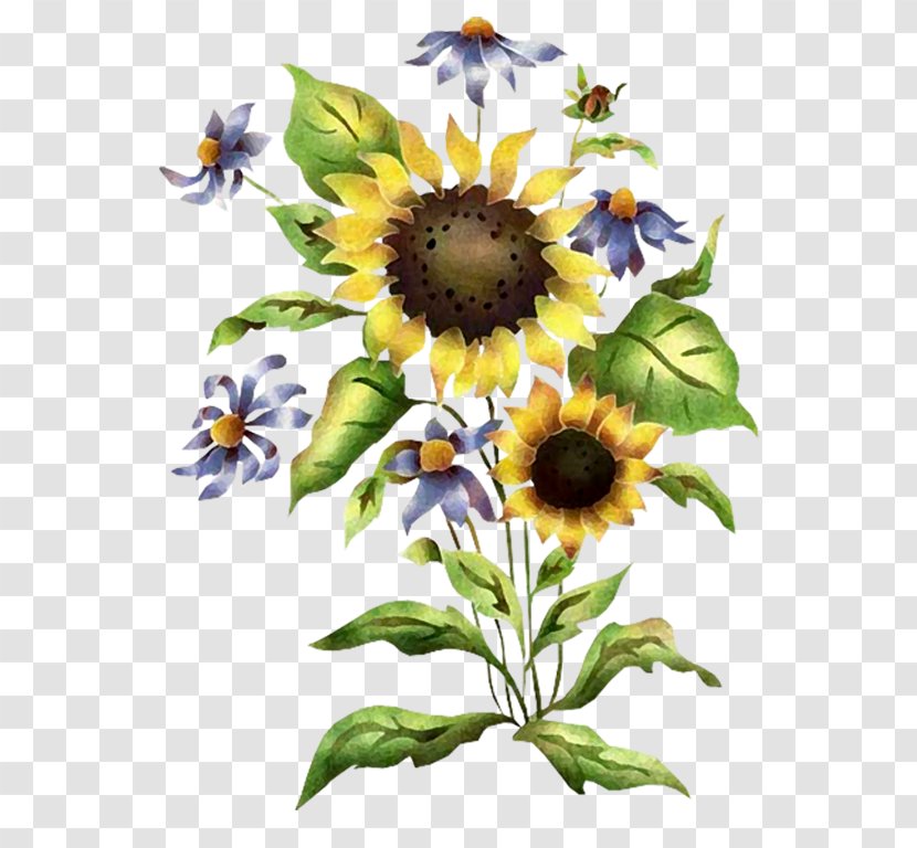 Stencil Common Sunflower Painting - Sunflowers Transparent PNG