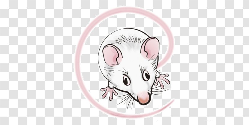 Rat Computer Mouse Gerbil Cartoon - Cat Like Mammal - Hand-painted Transparent PNG