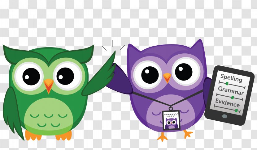 Owl Clip Art - Bird Of Prey - True Transparent PNG