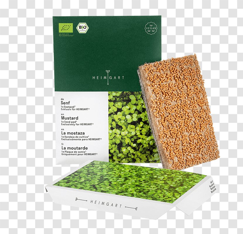 Garden Cress Seed Microgreen Vitamin Flavor - Aroma - Microgreens Transparent PNG