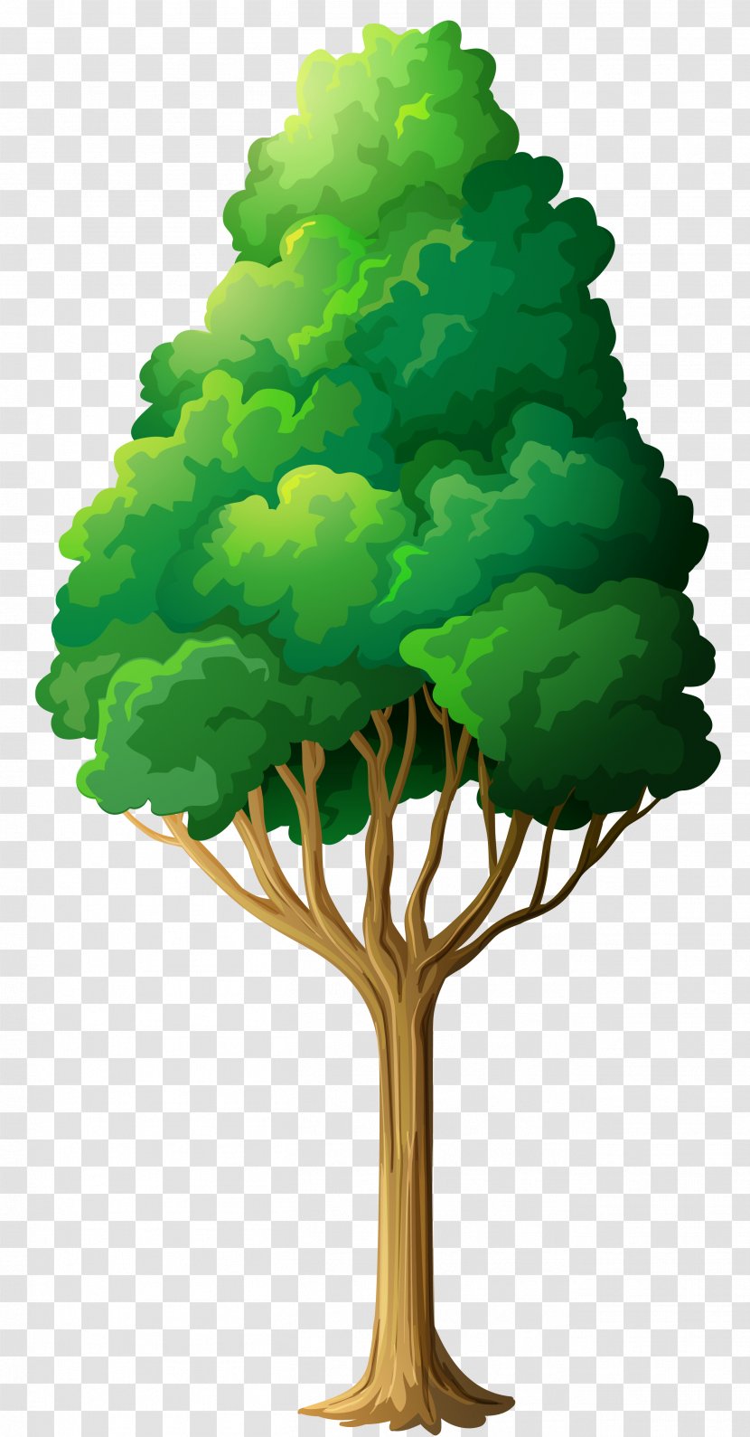 Clip Art - Woody Plant - Green Tree Clipart Transparent PNG
