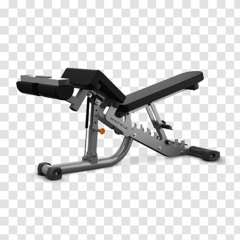 Bench Exercise Machine Physical Fitness Weight Training Bodybuilding - World Gym Transparent PNG