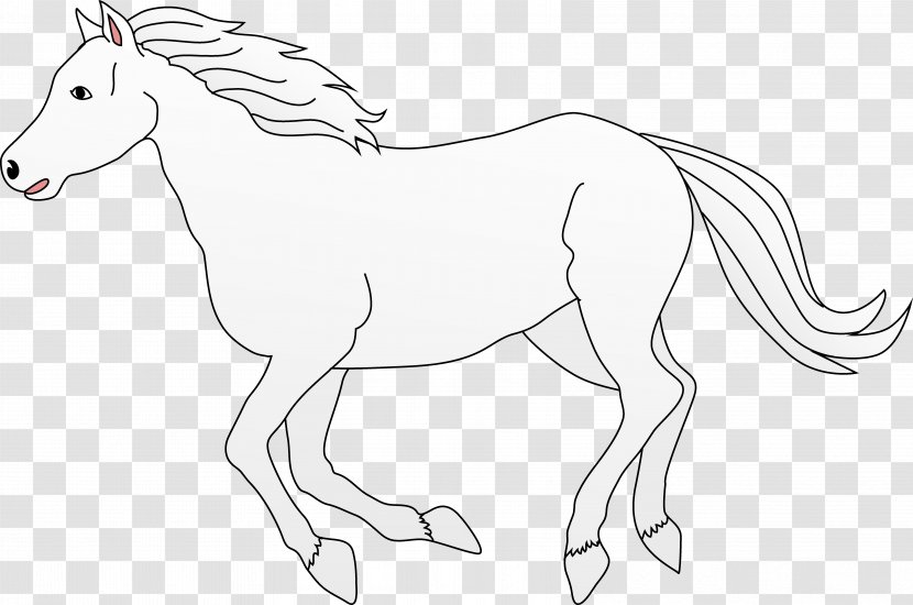 Horse Canter And Gallop Clip Art - Colt - Whitehorse Transparent PNG