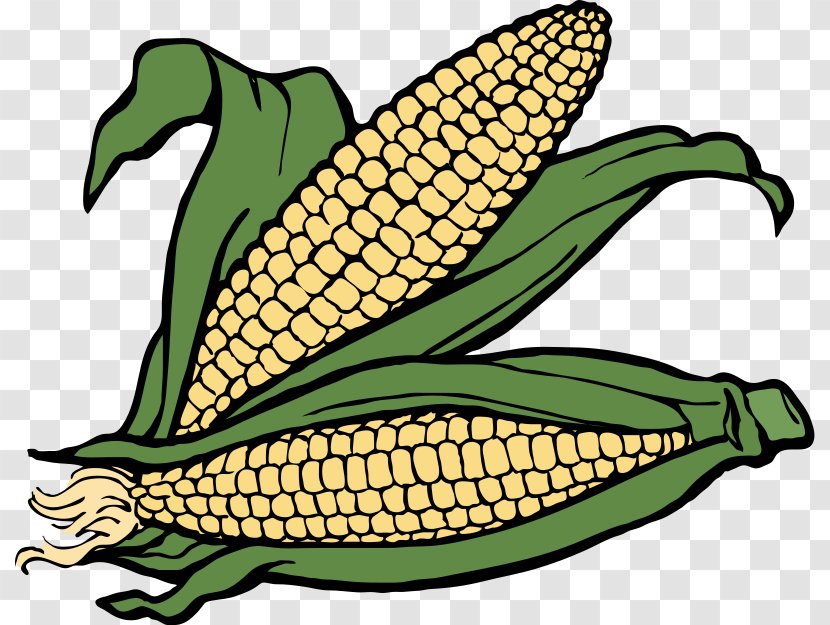Crop Farm Agriculture Clip Art - Vegetable Farming - Ear Of Corn Clipart Transparent PNG