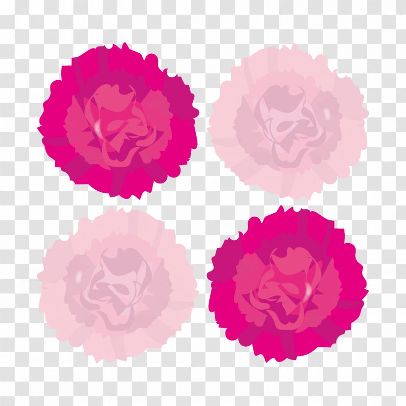 Pink Magenta Violet - Carnation Transparent PNG
