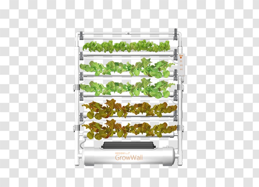 Hydroponics The International Consumer Electronics Show Farm Grow Box Product - Grass - Indoor Hydroponic Boxes Transparent PNG