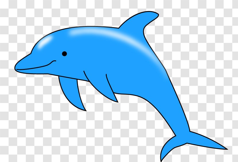 Common Bottlenose Dolphin Porpoise Rough-toothed Tucuxi Wholphin - Artwork Transparent PNG