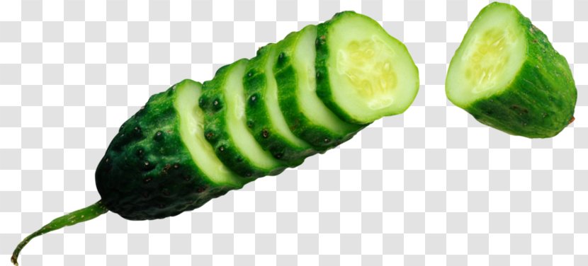 Pickled Cucumber Vegetable Food - Gourd Order Transparent PNG