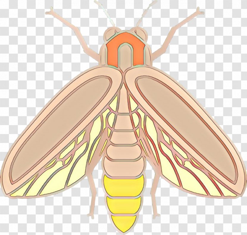 Cartoon Bee - Termite - Wasp Honeybee Transparent PNG