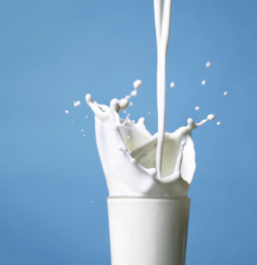 Raw Milk Dairy Products Food Transparent PNG