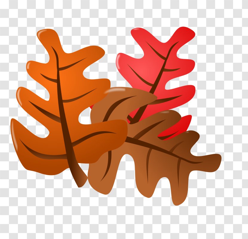 Autumn Leaf Color Free Content Clip Art - Plant - Pictures Of Leaves Falling Transparent PNG