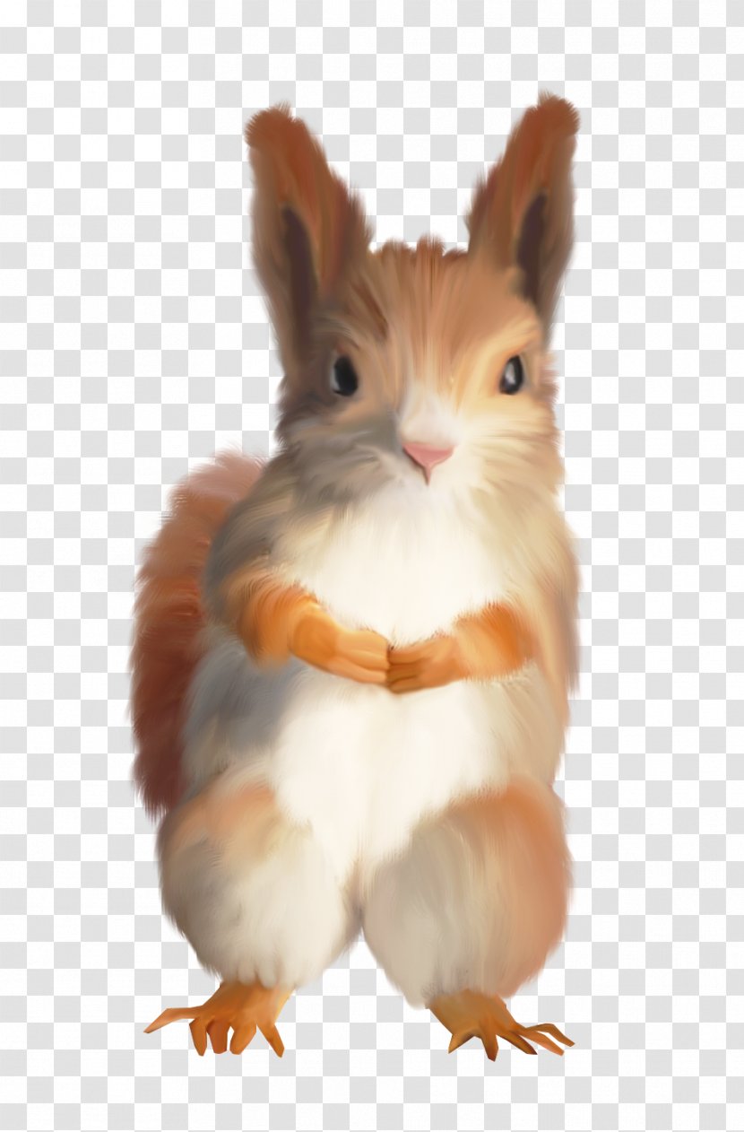 Tree Squirrels Domestic Rabbit Hare Clip Art - Animal - Brown Squirrel Transparent PNG
