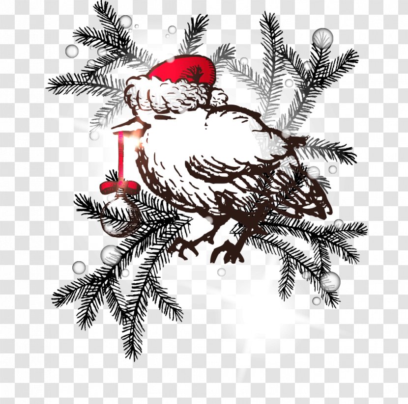 Bird Christmas Drawing - Rooster - Hand-painted Balls Dangling Cartoon Transparent PNG