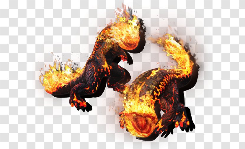 Dragon's Dogma: Dark Arisen Dogma Online Salamanders In Folklore - Fire - Salamander Transparent PNG