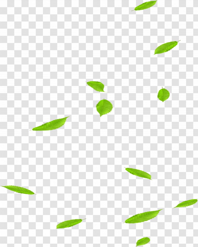 Download - Material - Falling Leaves Transparent PNG