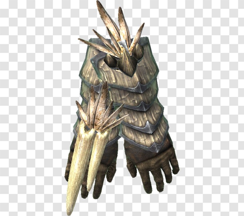 Armour - Claw - Organism Transparent PNG