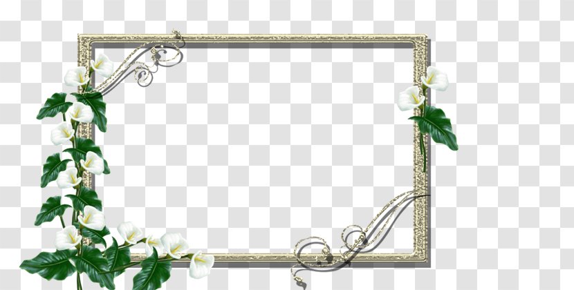 Picture Frames Photography GIMP - 2016 - Esp Transparent PNG