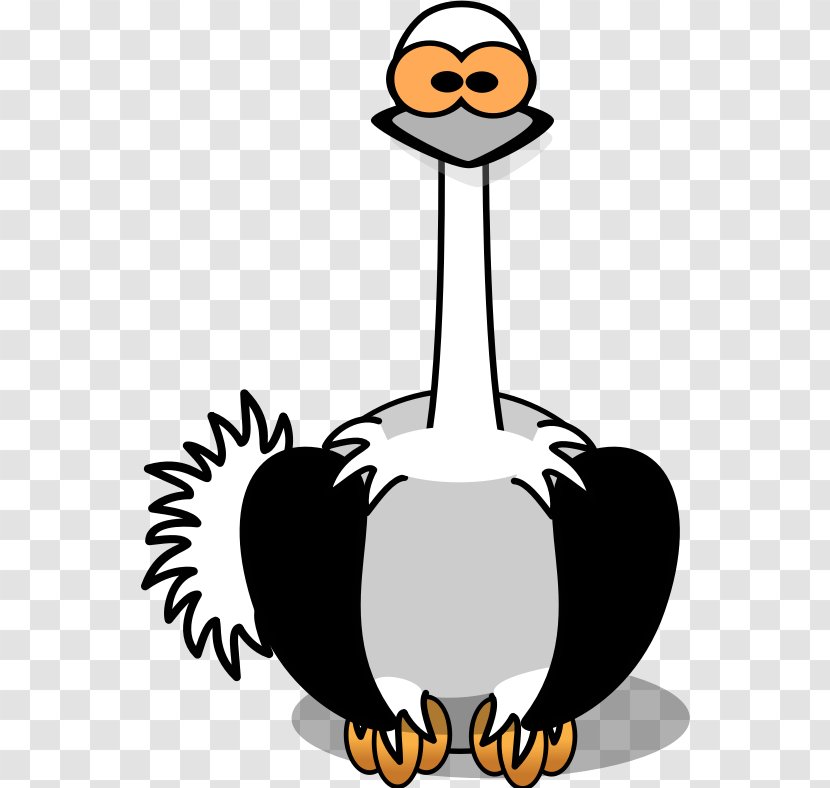 Common Ostrich Bird Cartoon Clip Art Transparent PNG