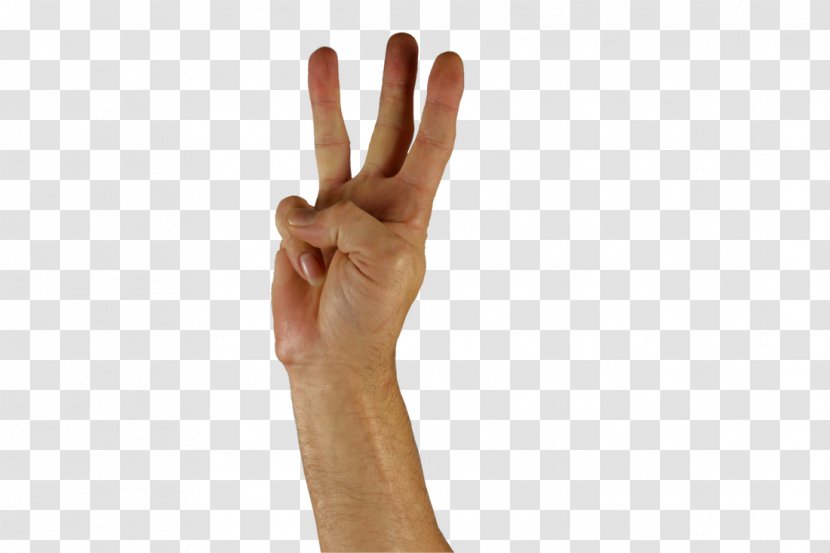 Sign Language Hand Learning English - Joint - American Transparent PNG
