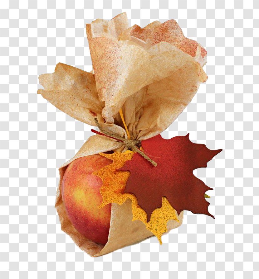 Paper Autumn Gift Leaf - Designer - Oil Wrap Apples Transparent PNG