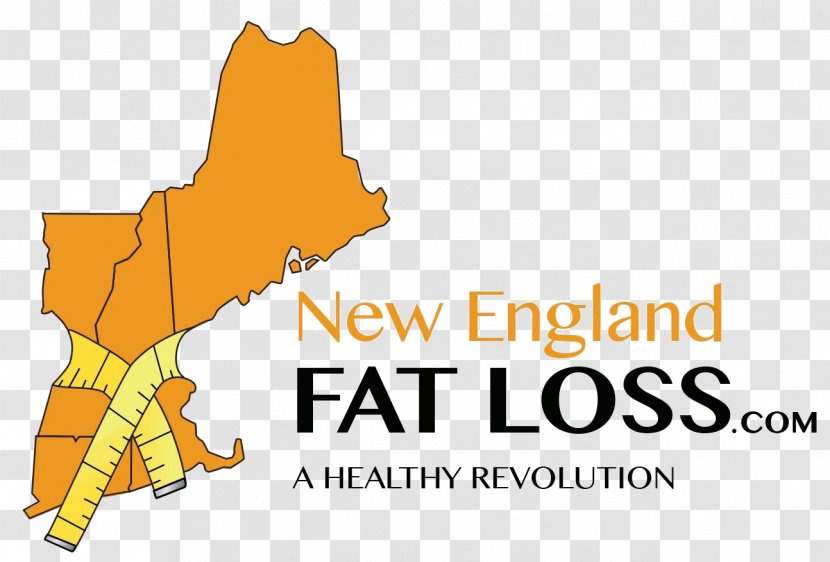 New England Fat Loss Logo Dr. Dirk Johns Weight Brand - Text - B Symptoms Transparent PNG