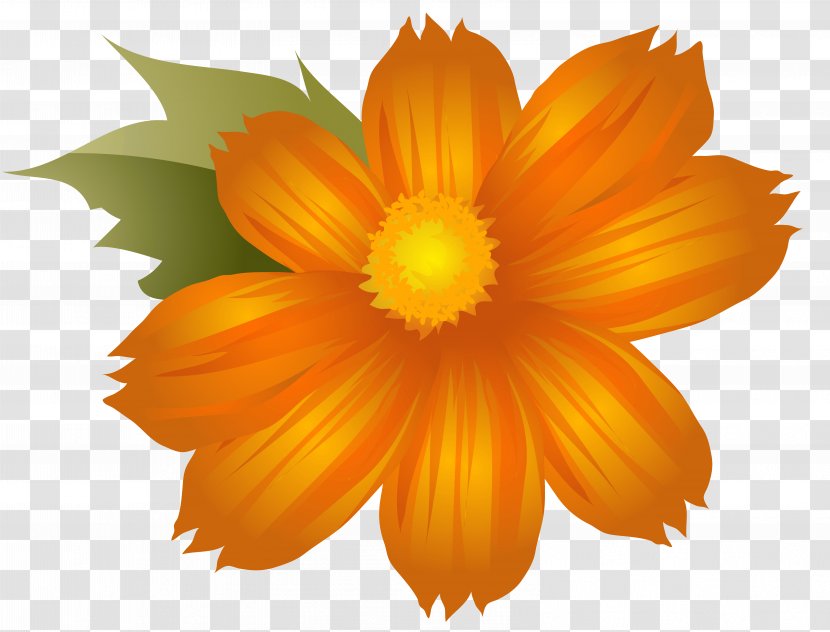 Flower Orange Clip Art - Herbaceous Plant - Flowers Cliparts Transparent PNG