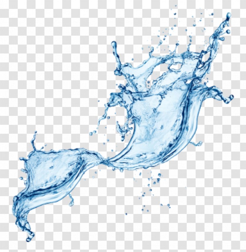 Water Bottles Ocean Damage - Organism - Splash Transparent PNG