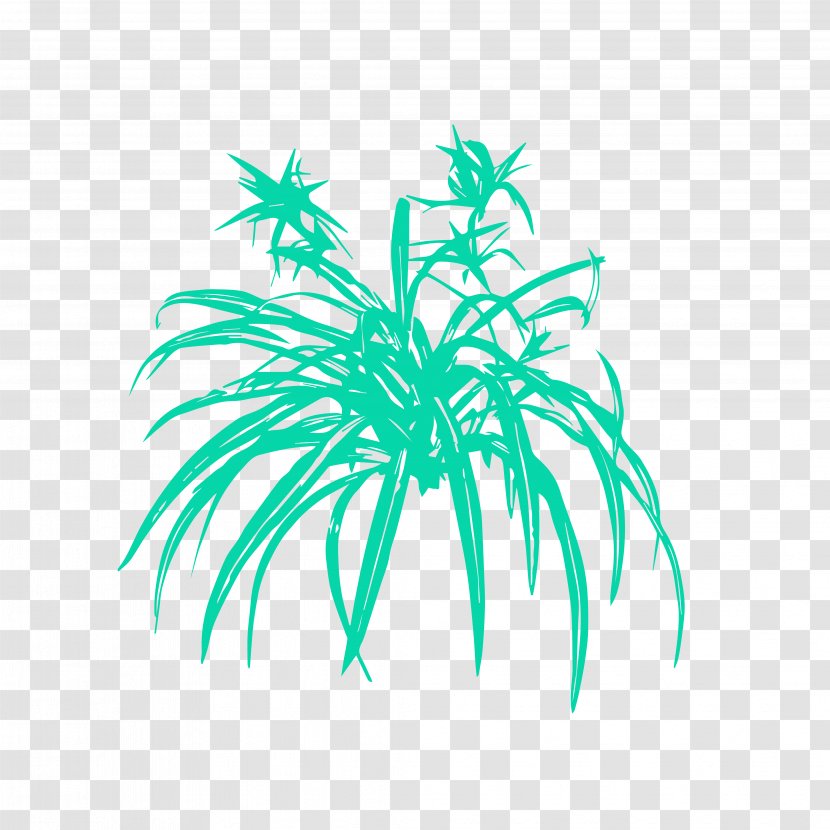 Palm Trees Chlorophytum Comosum Succulent Plant Plants Leaf Transparent PNG