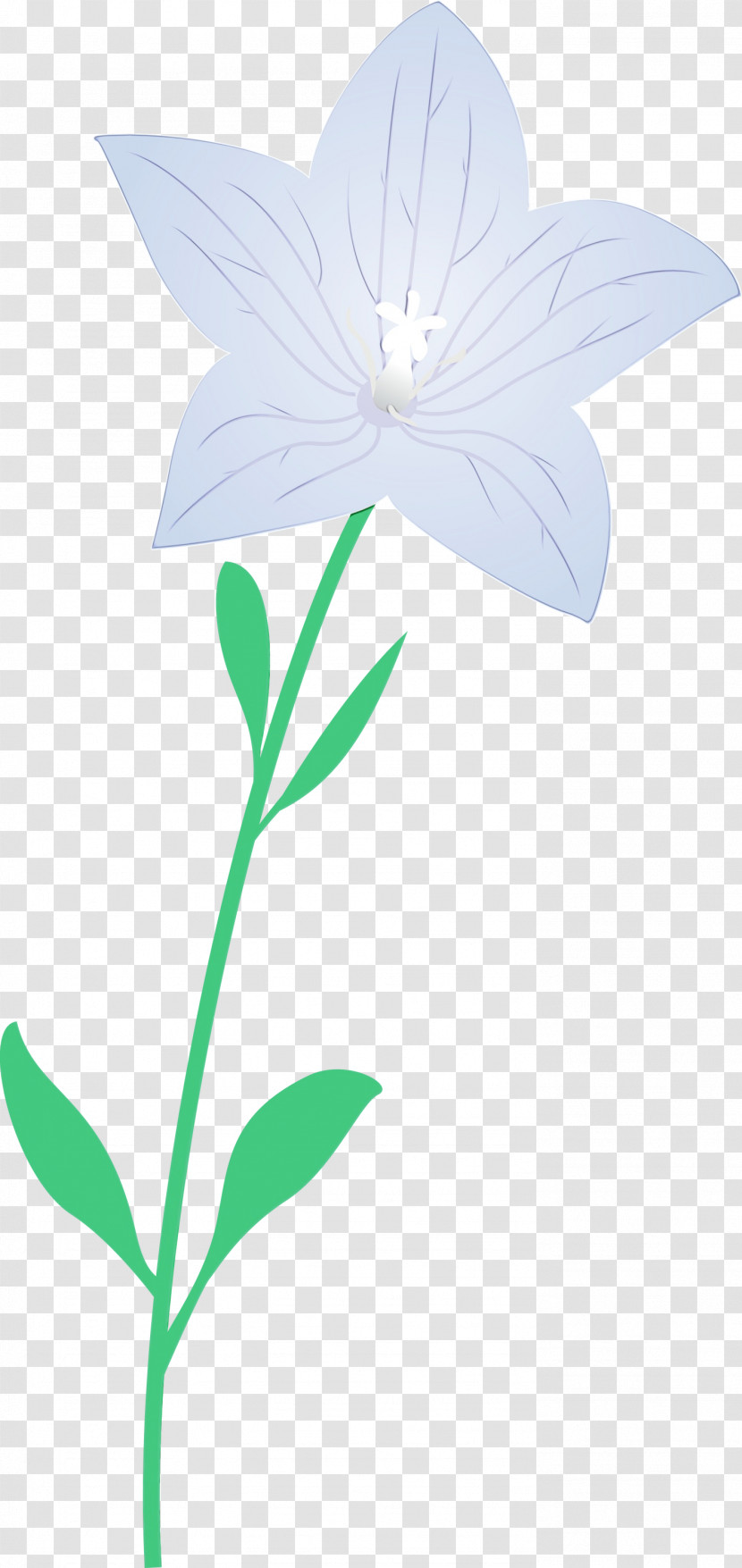 Leaf Plant Stem Cut Flowers Petal Herbaceous Plant Transparent PNG
