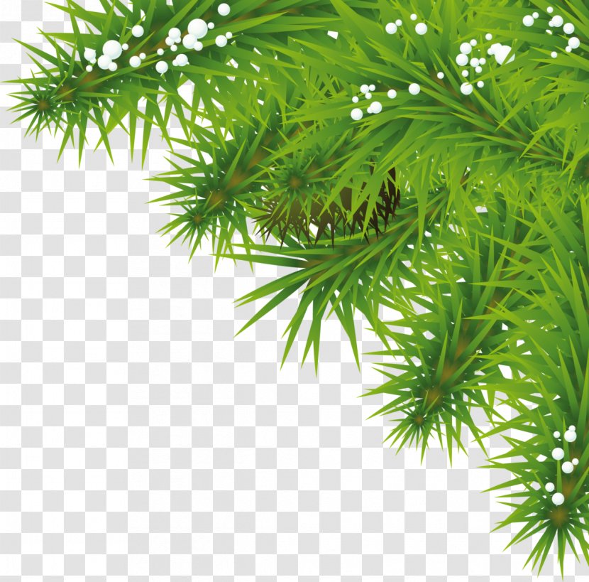 Christmas Tree Fir Clip Art - Spruce - Fir-tree Transparent PNG