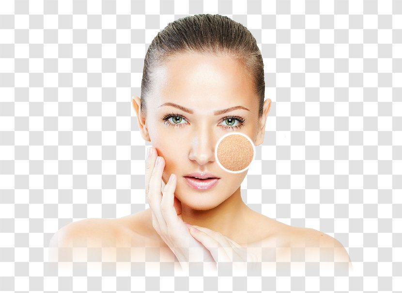 Anti-aging Cream Ageing Skin Care Wrinkle Cosmetics - Serum Transparent PNG