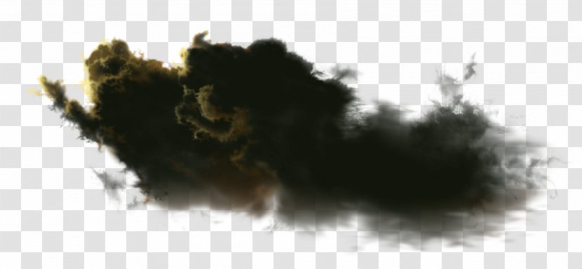 Cloud Lightning Rain PhotoScape - Tree - Storm Transparent PNG