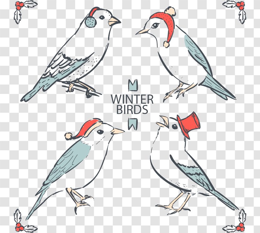 Finch Bird Drawing Feather - Hand-painted Birds Winter Transparent PNG