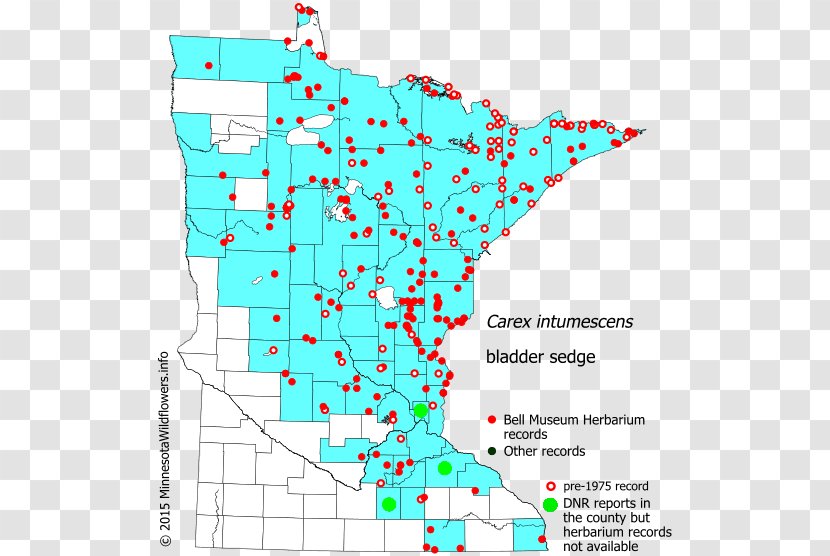 Line Minnesota Point Angle Map Transparent PNG