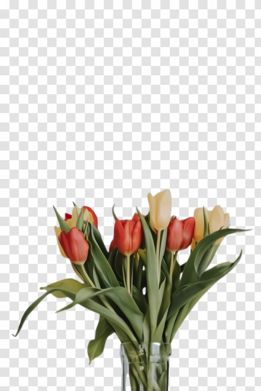 Lily Flower Cartoon - Bouquet - Floral Design Plant Stem Transparent PNG